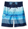 Kanu Surf Boys' Avalon Quick Dry Upf 50+ Beach Swim Trunk, E 0