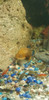 Caracol Manzana 3