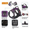 Arnes Con Correa Para Perros Sin Tirones - Violeta Small 2