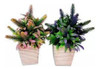 Arbusto Decorativa Artificiales X 2 En Maceta 0