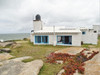 La Loba En Cabo Polonio 0