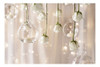Bolsius Velas Flotantes Sin Perfume  Juego De 40 Velas Flota 7