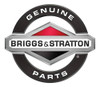 Árbol De Levas Descompresor Briggs&stratton Original 793880 1