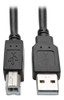 Tripp Lite 10ft Hdmi Dvi Usb Kvm Cable Kit Usb A B 1