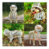 Piloto Capa Lluvia Impermeable Mascotas Transparente Talle 9 7