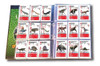 Carpeta + Folios - Dinosaurs Evolved 1