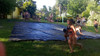 8 X 4paño De Silo Bolsa 1