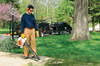 Soplador Stihl Bg 86 27.2 Cc 1.0 Cv - Serva 1