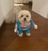 Ropa Perro Gato Mascota Chucky Halloween  Cosplay Disfraz 3 Ropa Perro Gato Mascota Chucky Halloween  Cosplay Disfraz 3