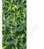 14placas De Samambaia Cheia 40x60 Jardim Vertical Artificial 5