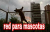 Red De Proteccion Mascotas 0