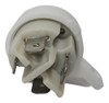 Interruptor Secarropas Compatible Kohinoor Ab 2042 2052 2062 1