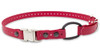 Educador Collar Elastico De Cierre Rapido 0