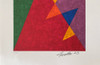 Ref. 3346 Zi Facella  Serigrafia 1