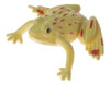 Mirascope Holograma Rana 3d Educativo Física Óptica Didáctic 7