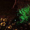 Pincho Solar Led Tipo Spot Negro Verde 20lm Verde - Tyt 1
