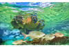 Tusa M32 Imprex Máscara De Buceo Hiperdry 3d 1