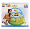 Corralito Pelotero Inflable Gimnasio Intex 2