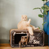 Rascador De Gato De Carton Sardina Distrito 70 2