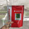 Semente De Coentro Asteka Sakata Pacote Com 500g 4