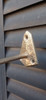 Campana Bronce Macizo Con Soporte Y Contrapeso 7