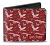 Harry Potter - Hedwig - Billetera Caballero 0