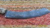 Antiguo Cuchillo Casero Curvo No Machete Hoz Neife 3