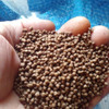 Alimento Para Carpas Imp. No Ensucia El Agua. Garantido 3