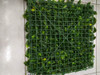 Kit C/2 Placa De Grama Artificial Grande 50x50cm Muro Ingle 3