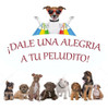 Mordillo Aro  Dosificador Mascota Anti Estres 7