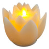 2 X 2-6 Pacotes De Luz De Lâmpada De Lótus, Luzes 2 Peças 6