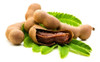 Frete Grátis Tamarindo Tamarindus Indica Sementes Fruta 0 Frete Grátis Tamarindo Tamarindus Indica Sementes Fruta 0