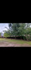Galpones Para Granja 3