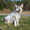 Sgoda Dog Cooling Vest Harness Cooler Jacket 3