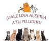 Kit X 2 Rascador Mascotas Gatos Poste Sisal Agarre Felpa 6