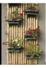 Tutor De Bambu Natural Estaca Plantas 60 Peças Com 75 Cm 1