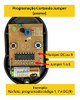 Controle Remoto Ecp Fix 292 Mhz - Codifica Cortando Jumper 1