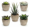 Coitak Plantas Suculentas Artificiales En Macetas, Surtido D 0