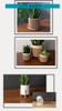 Maceta Decorativa Para Interiores 3