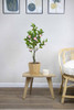 Planta Artificial Árbol De Camelia 80cm Calidad Premium 3