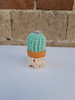 Cactus Tejidos En Macrame 5