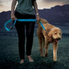 Correa Con Luz Led Azul Recargable Para Perros. Nite Ize 1