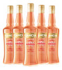 Aperitivo Gancia Spritz Hibiscus 750ml X5 Unidades 1