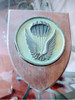 Escudo Militar Paracaidismo Efa. 2