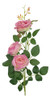Vara Rosa Terciopelo X3 0