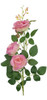Vara Rosa Terciopelo X3 1