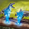 Juego De Ciencia De Esqueletos De Dinosaurios Stem 1