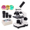 Microscopio, Microscopio Monocular Compuesto 0
