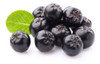 30 Semillas De Chokeberry Blackberry Gigante Aronia Fruta 0 30 Semillas De Chokeberry Blackberry Gigante Aronia Fruta 0