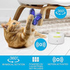 All For Paws Flutter Bug Cat Wand Toy Juguete Interactivo Pa 2